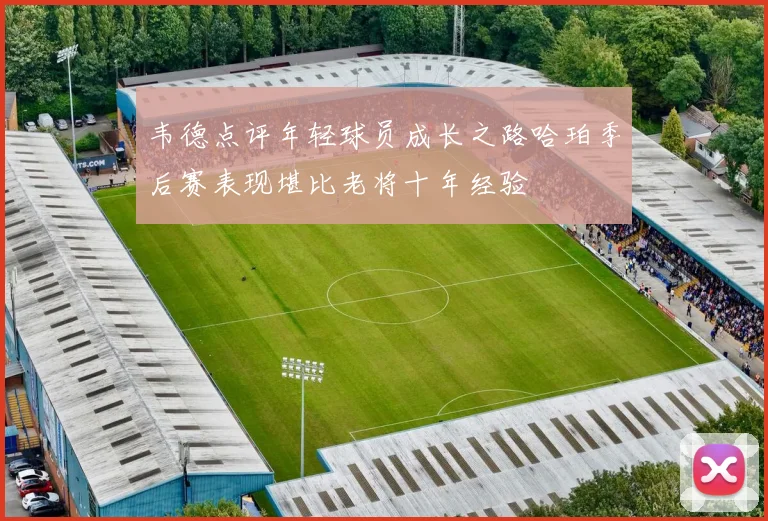 韦德点评年轻球员成长之路哈珀季后赛表现堪比老将十年经验