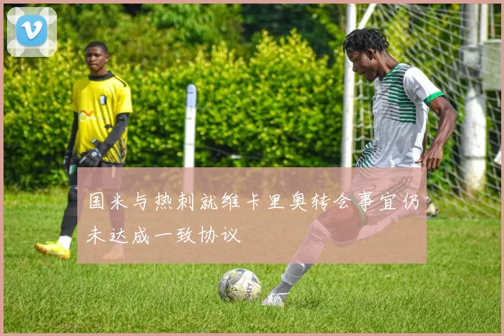 国米与热刺就维卡里奥转会事宜仍未达成一致协议