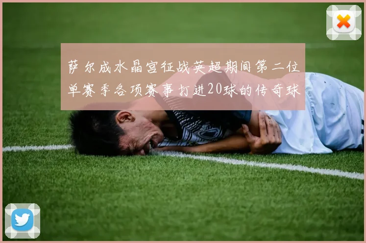 萨尔成水晶宫征战英超期间第二位单赛季各项赛事打进20球的传奇球员