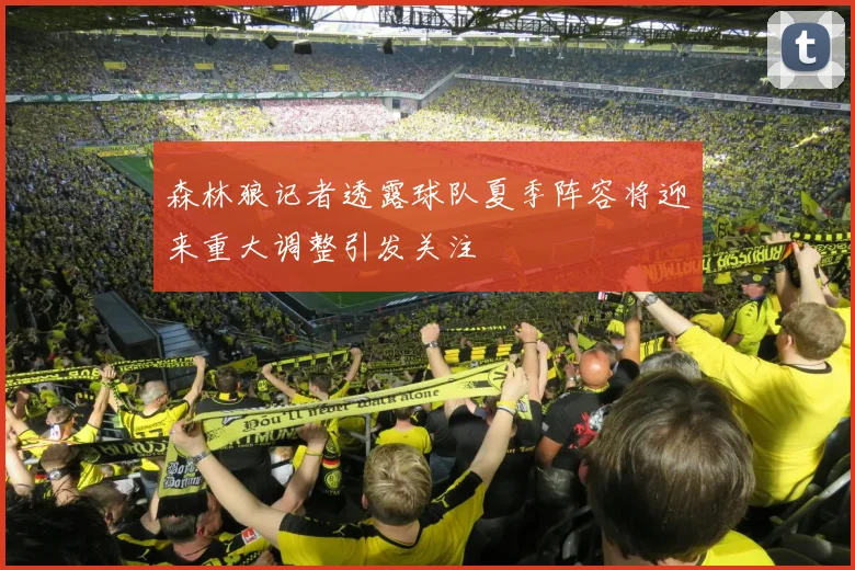 森林狼记者透露球队夏季阵容将迎来重大调整引发关注